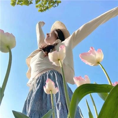 2026热播剧精选第069期